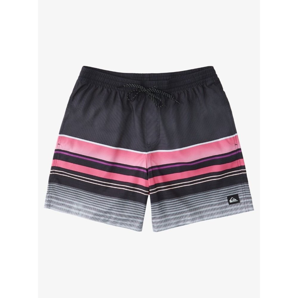 Quiksilver Men's Swell Vision 17” Volley Swim Trunks Small